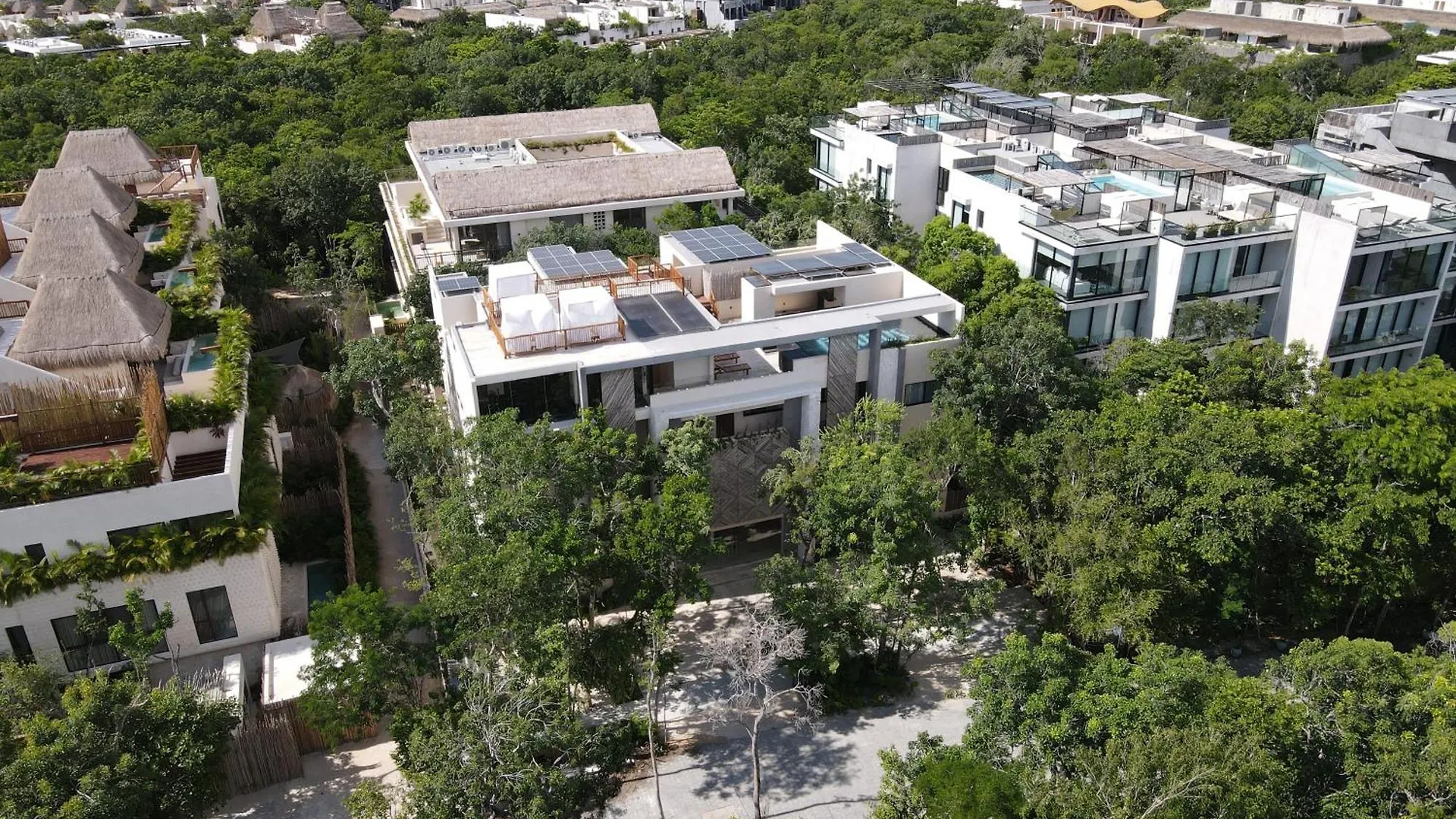 Aptos Chen Luum Tulum